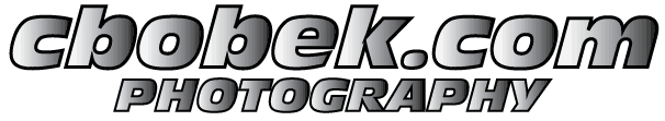 cbobek banner